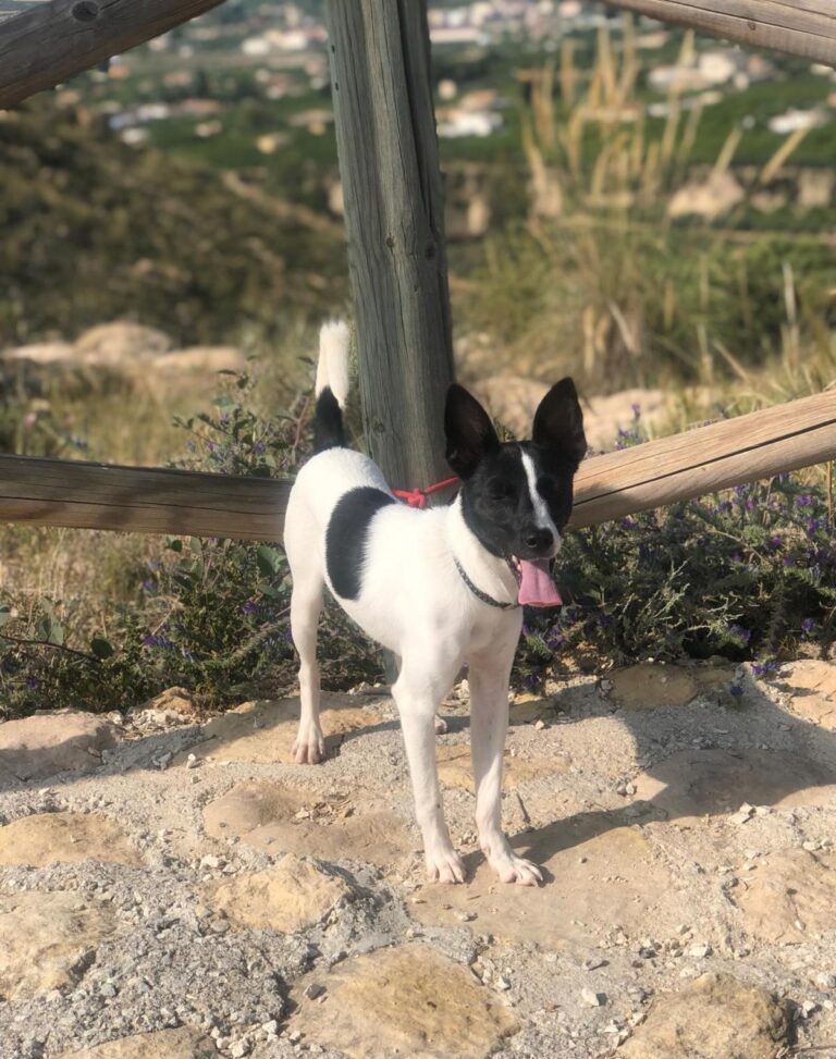 multimedia-foto94535-534-1