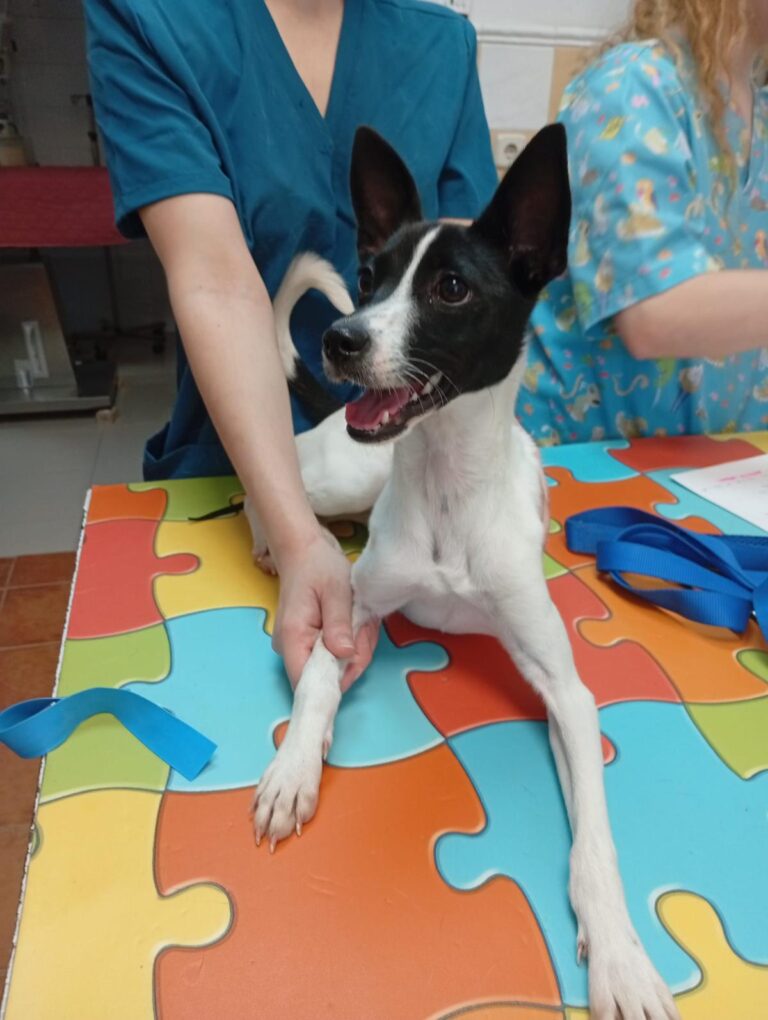 multimedia-foto94536-534-1