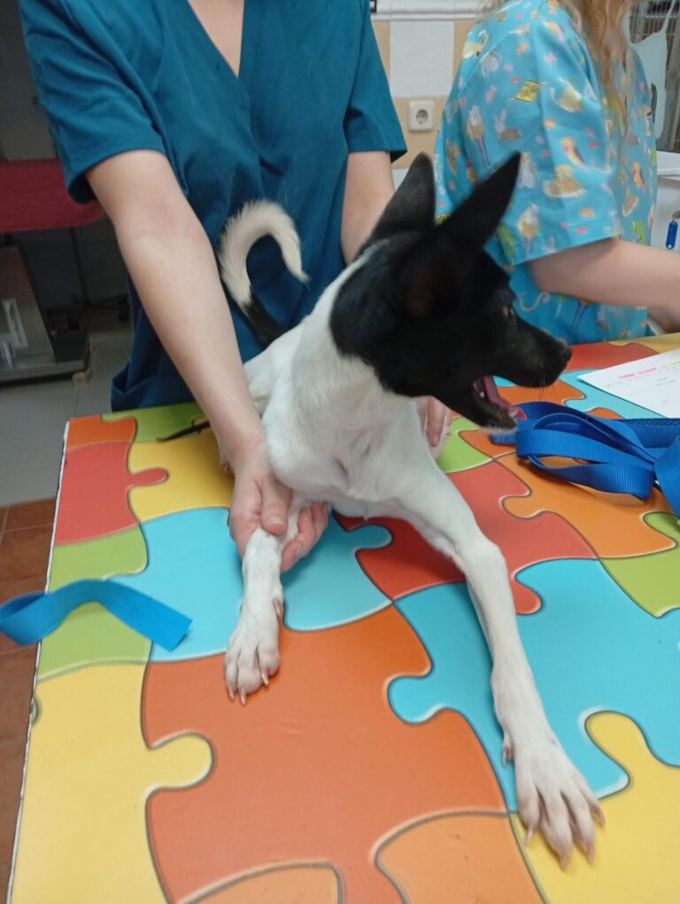 multimedia-foto94538-535-1