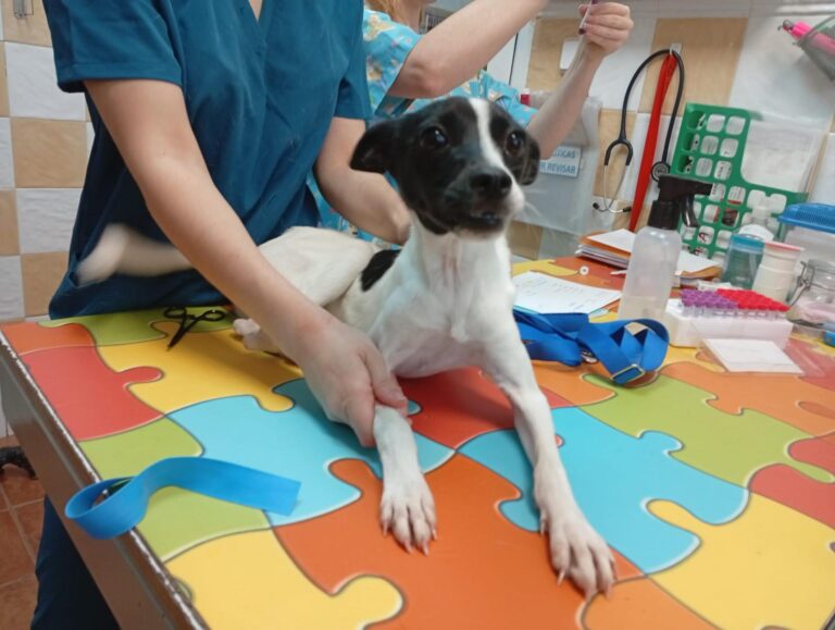 multimedia-foto94539-536-1