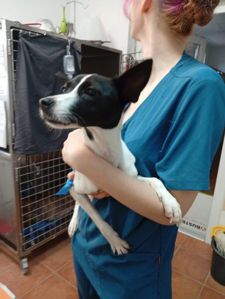 multimedia-foto94540-536-1