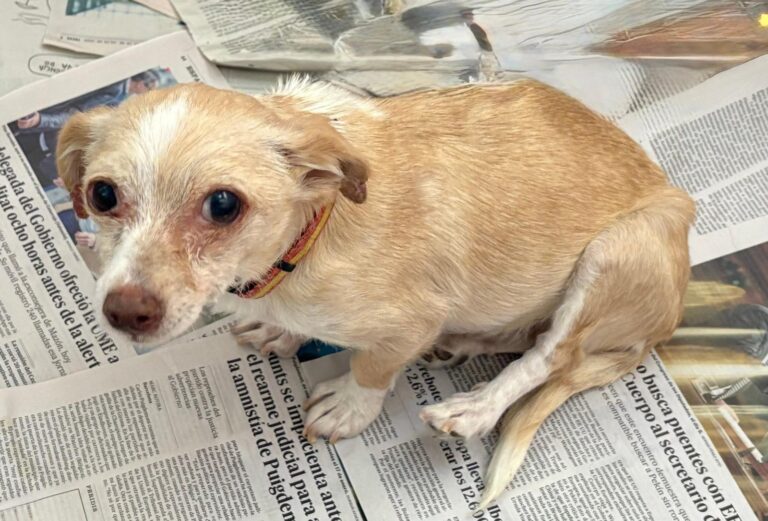 multimedia-foto94542-973-1