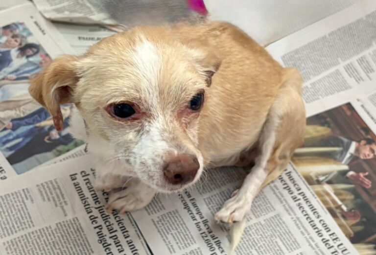 multimedia-foto94543-973-1