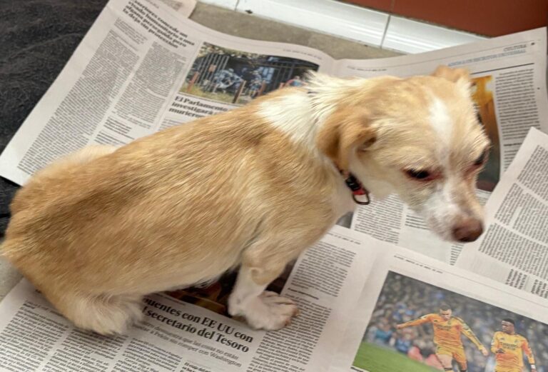 multimedia-foto94544-973-1