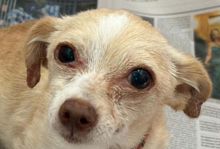 multimedia-foto94545-974-1