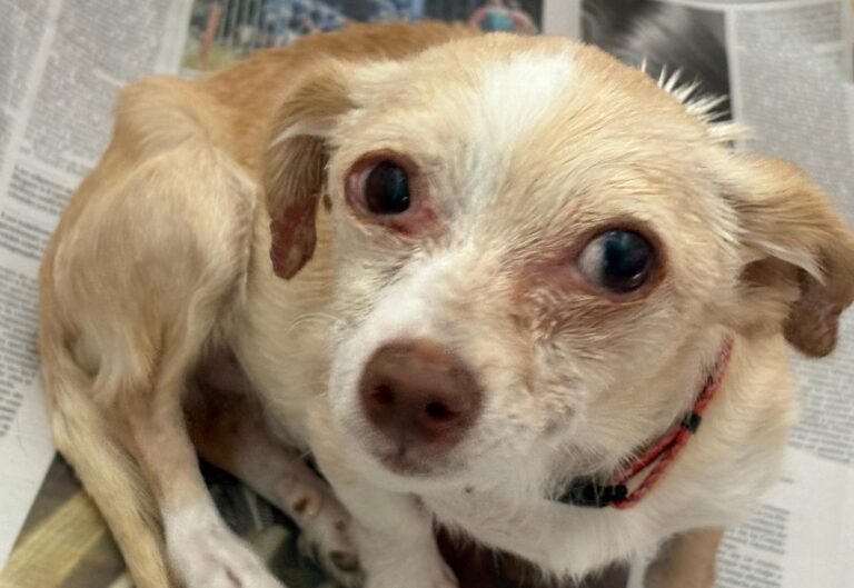 multimedia-foto94546-974-1