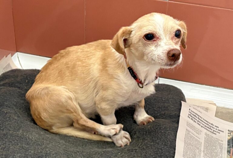 multimedia-foto94547-974-1