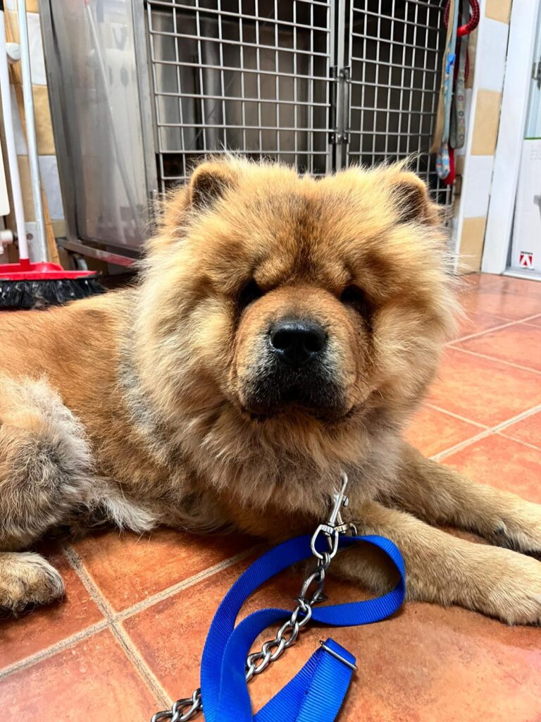 multimedia-foto94548-893-1