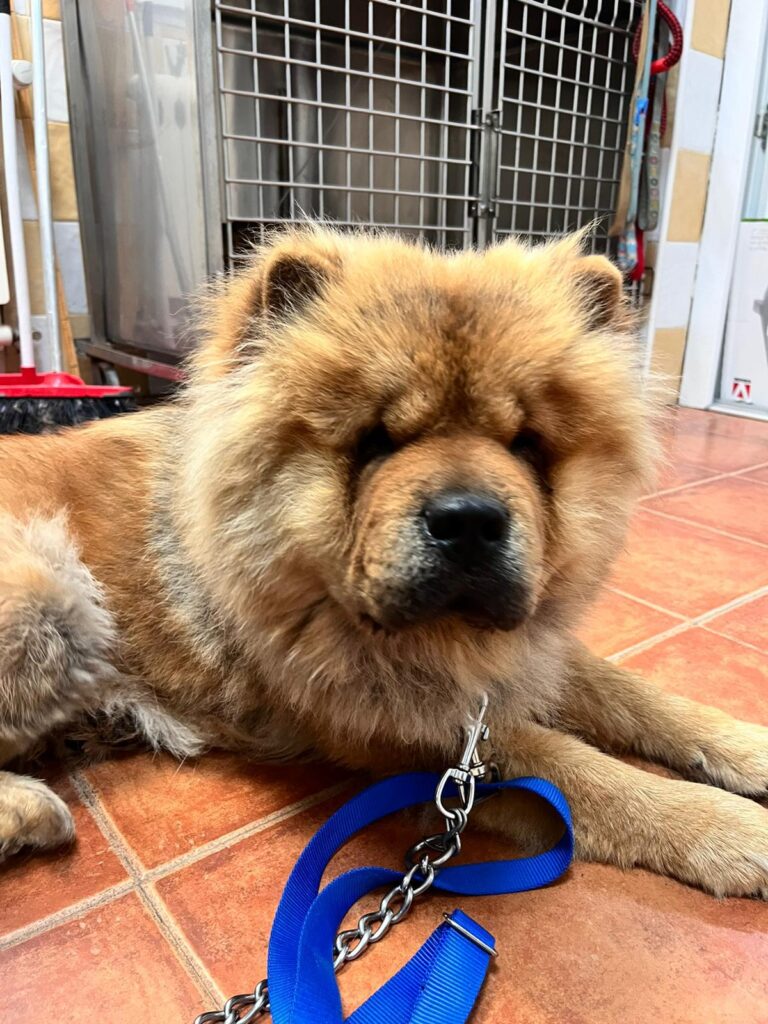 multimedia-foto94549-893-1