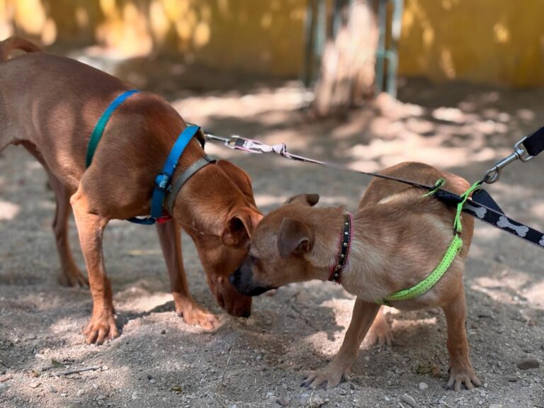 multimedia-foto94557-941-1