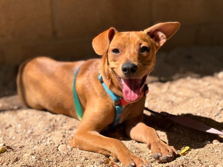 multimedia-foto94561-943-1