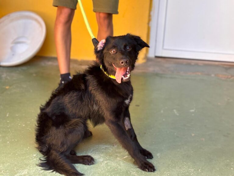 multimedia-foto94562-203-1