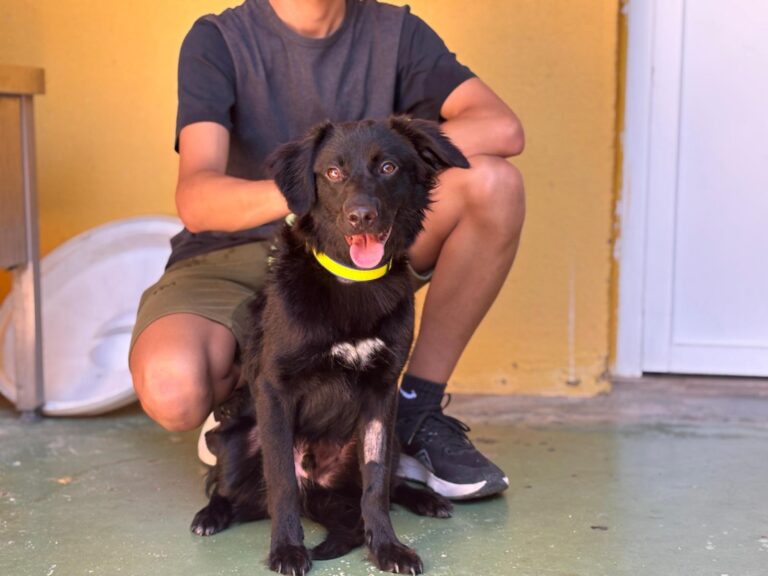 multimedia-foto94563-203-1