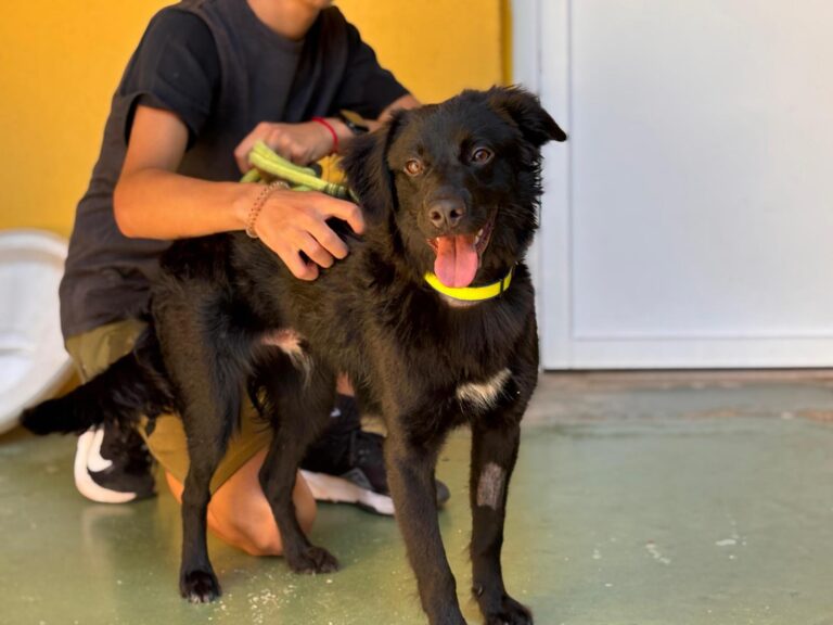 multimedia-foto94564-203-1