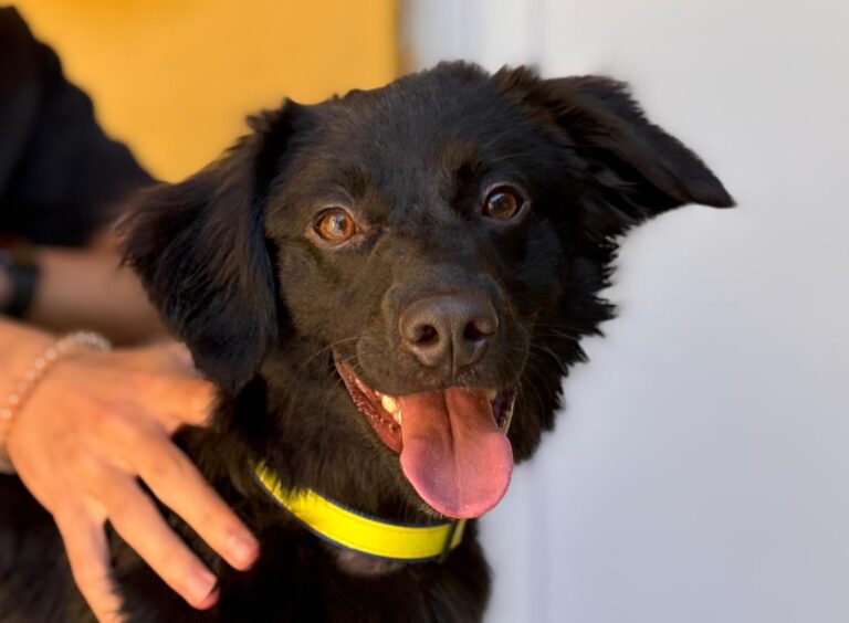 multimedia-foto94566-204-1