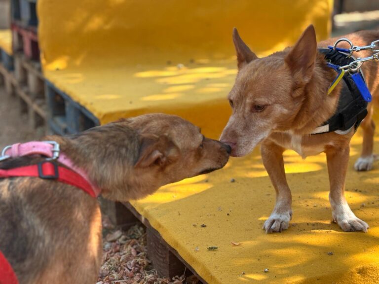 multimedia-foto94567-253-1