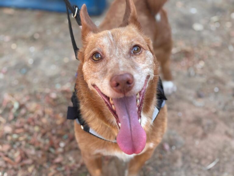 multimedia-foto94568-253-1