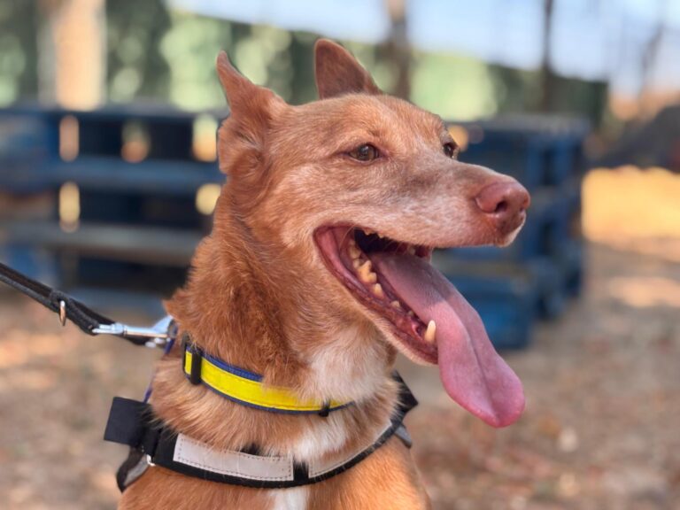 multimedia-foto94569-254-1