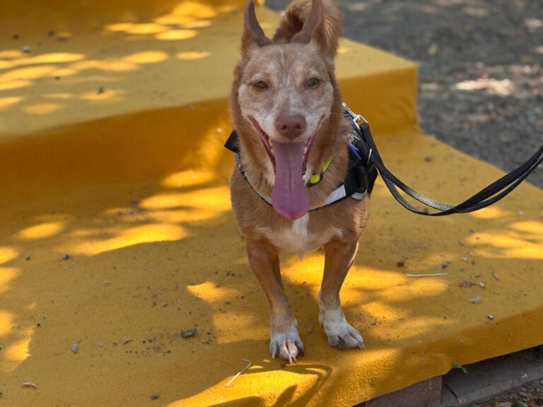 multimedia-foto94570-254-1