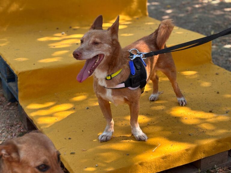 multimedia-foto94571-254-1