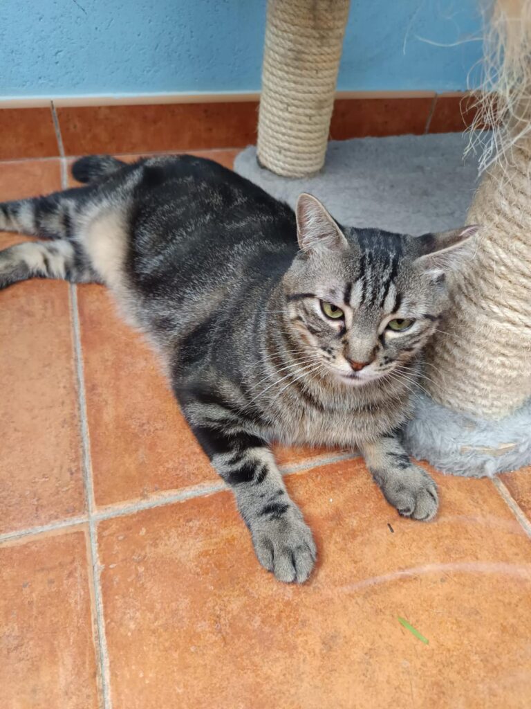 multimedia-foto94583-286-1