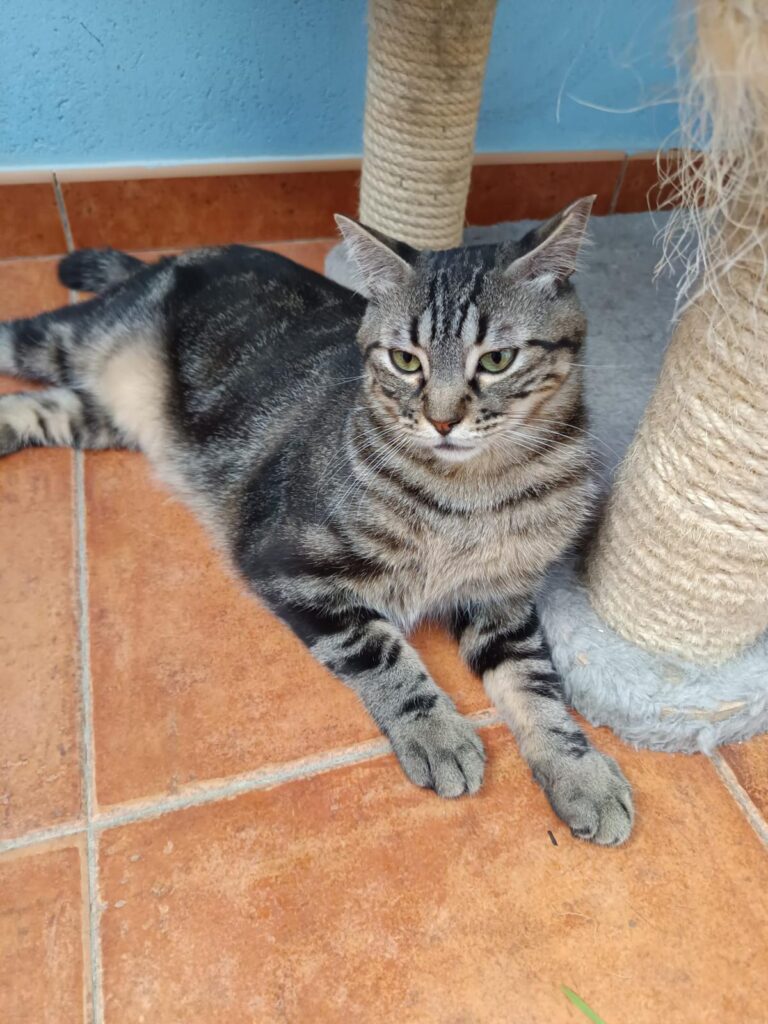 multimedia-foto94584-287-1