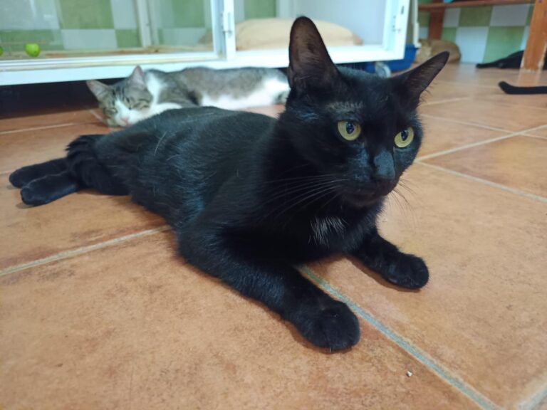 multimedia-foto94589-670-1