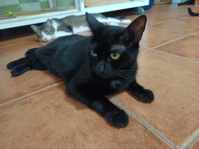 multimedia-foto94590-670-1