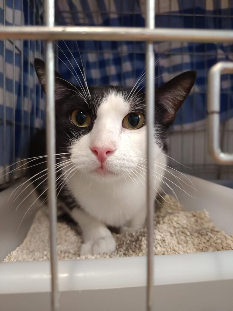 multimedia-foto94594-741-1