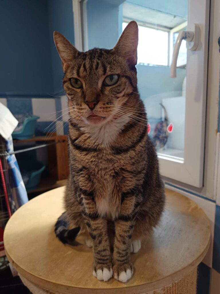 multimedia-foto94626-434-1