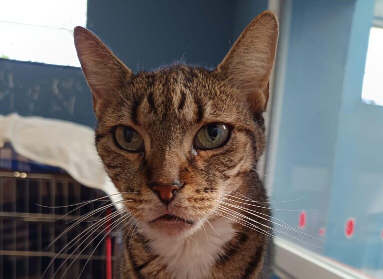 multimedia-foto94629-435-1