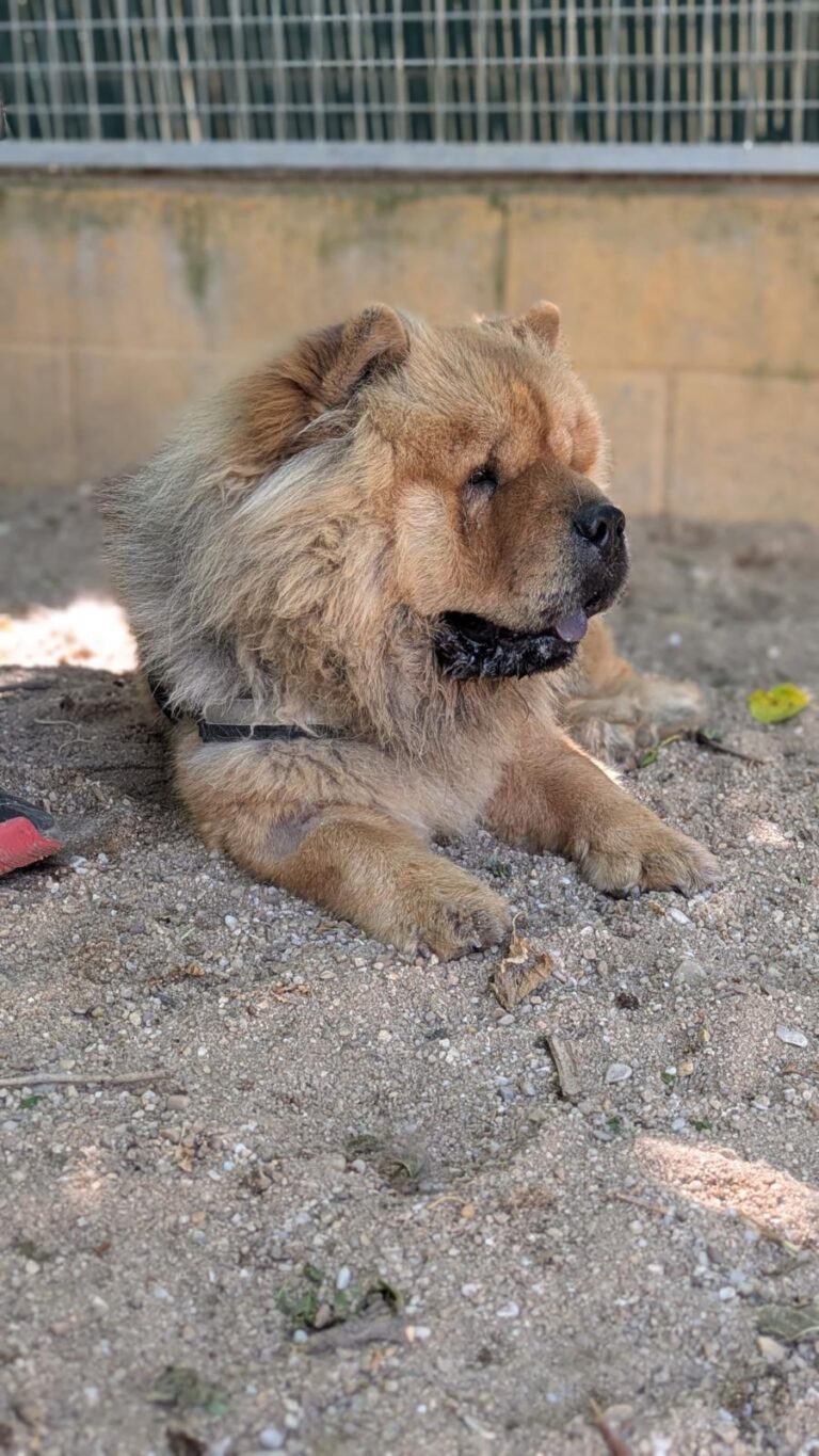 multimedia-foto94644-930-1