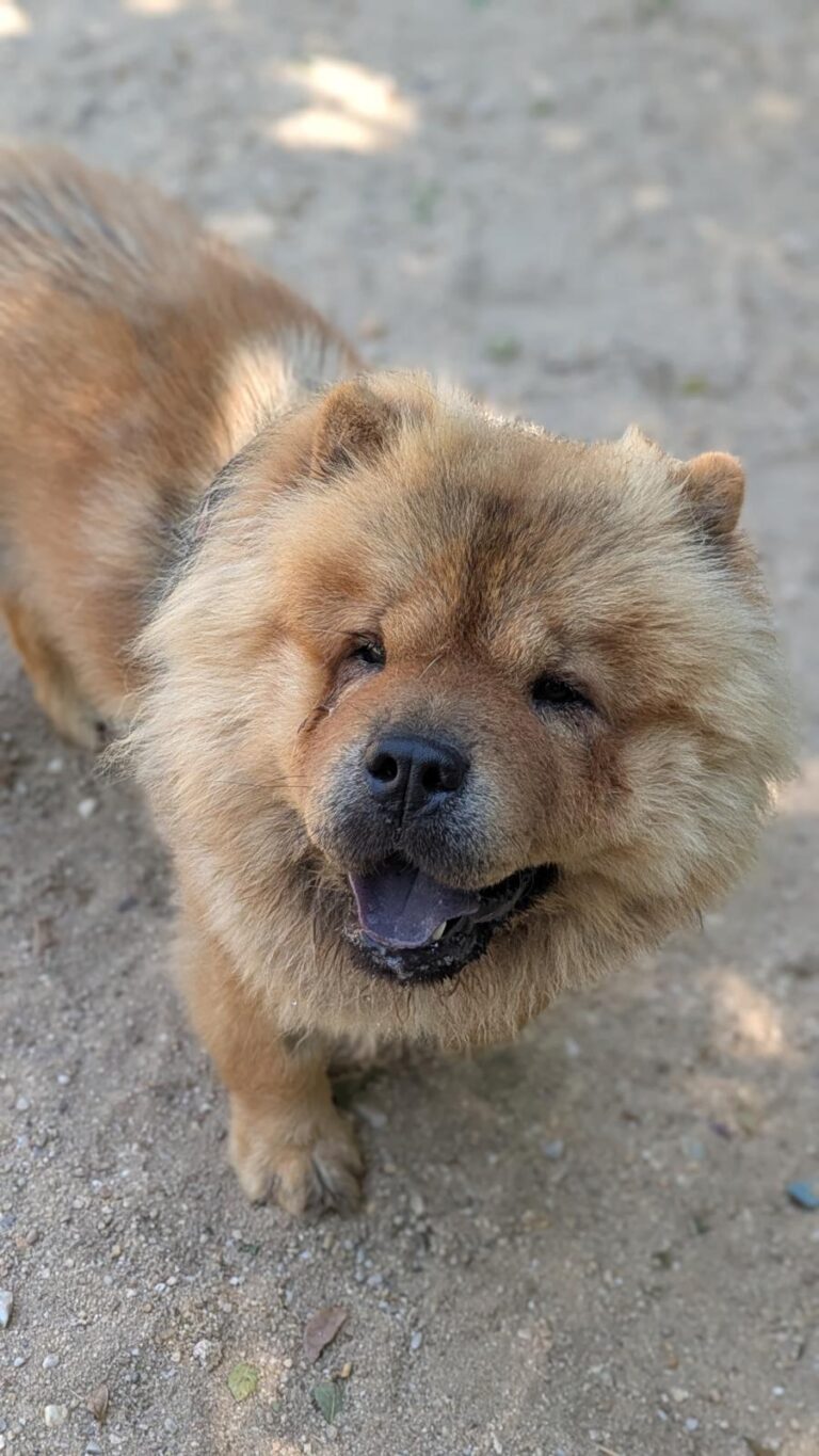 multimedia-foto94645-930-1