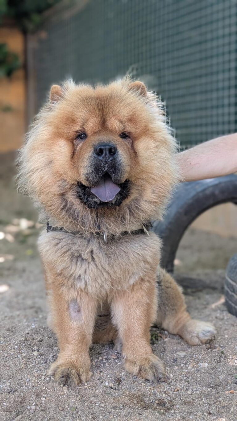 multimedia-foto94646-931-1