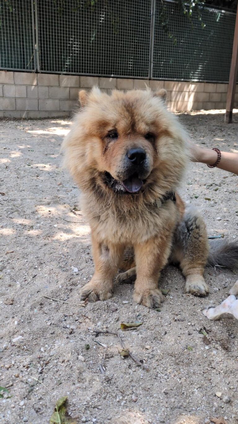 multimedia-foto94647-931-1