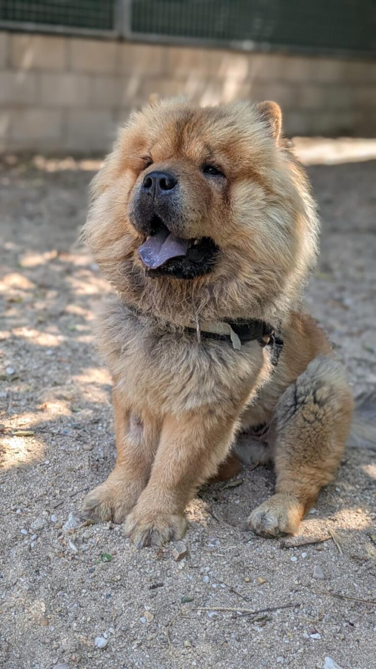 multimedia-foto94648-931-1