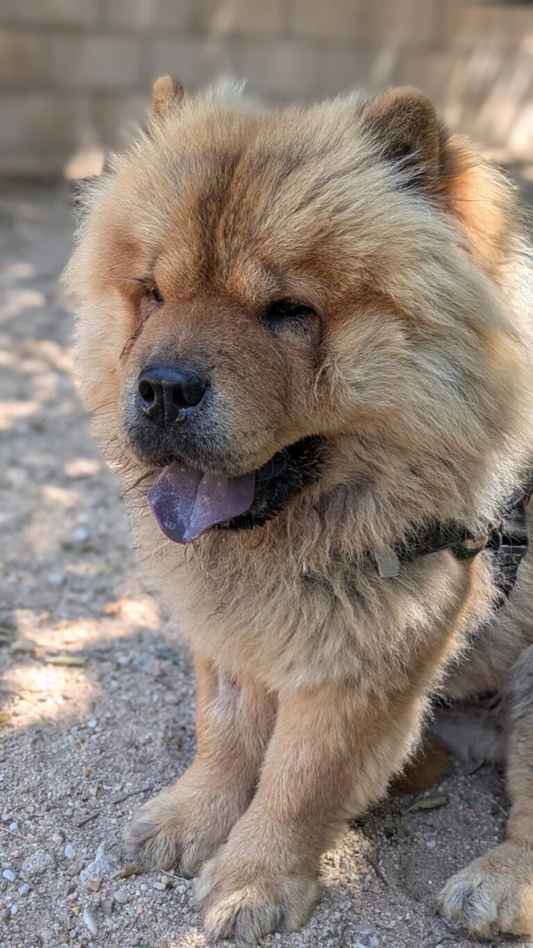 multimedia-foto94650-932-1