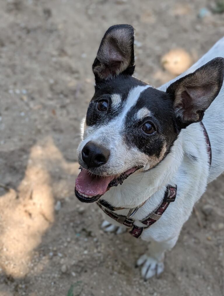 multimedia-foto94654-798-1