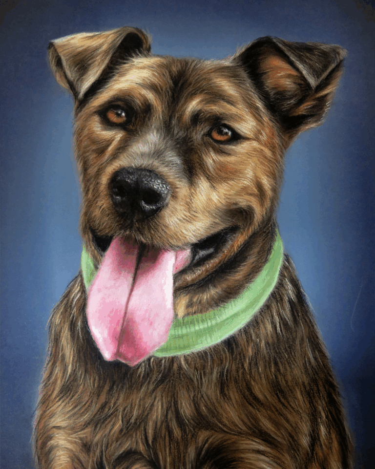 multimedia-foto94656-497-1