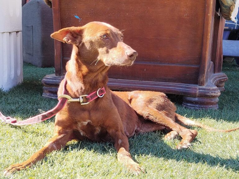 multimedia-foto94664-361-1