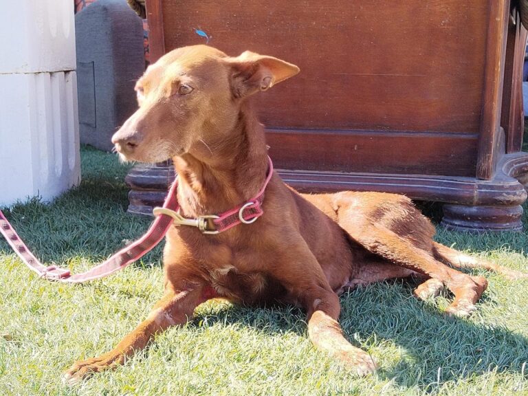 multimedia-foto94666-361-1