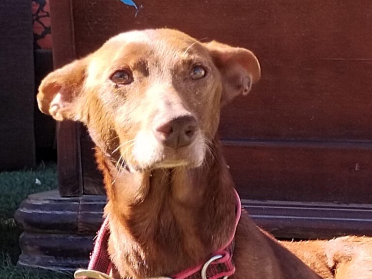 multimedia-foto94667-362-1