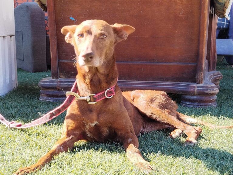 multimedia-foto94668-362-1