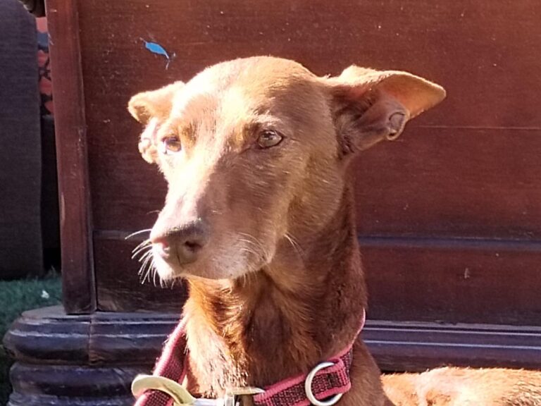 multimedia-foto94669-362-1