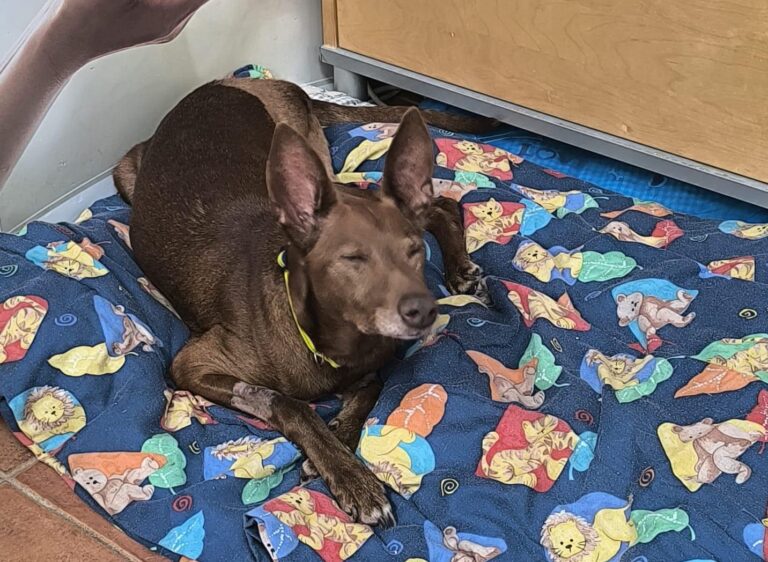 multimedia-foto94672-363-1