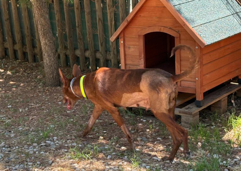 multimedia-foto94673-363-1