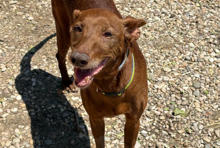 multimedia-foto94674-363-1