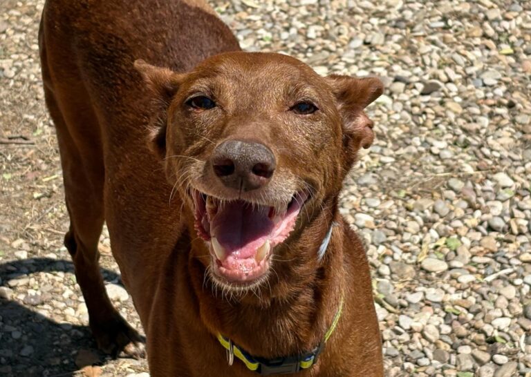 multimedia-foto94675-364-1