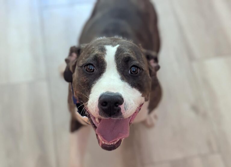 multimedia-foto94678-501-1