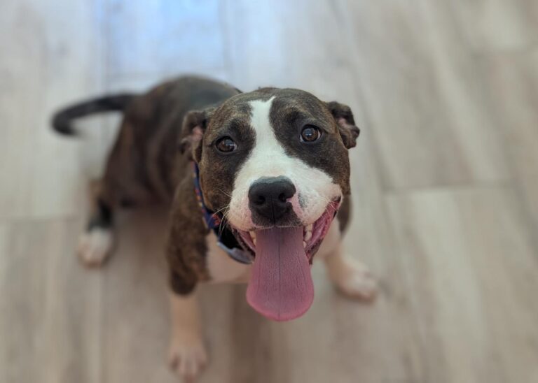 multimedia-foto94680-501-1